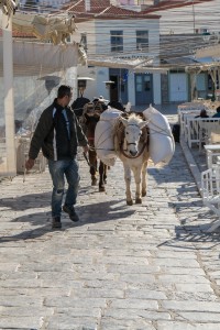 donkey carrying merchandise on Hydra | Greece